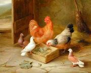 unknow artist, poultry  141